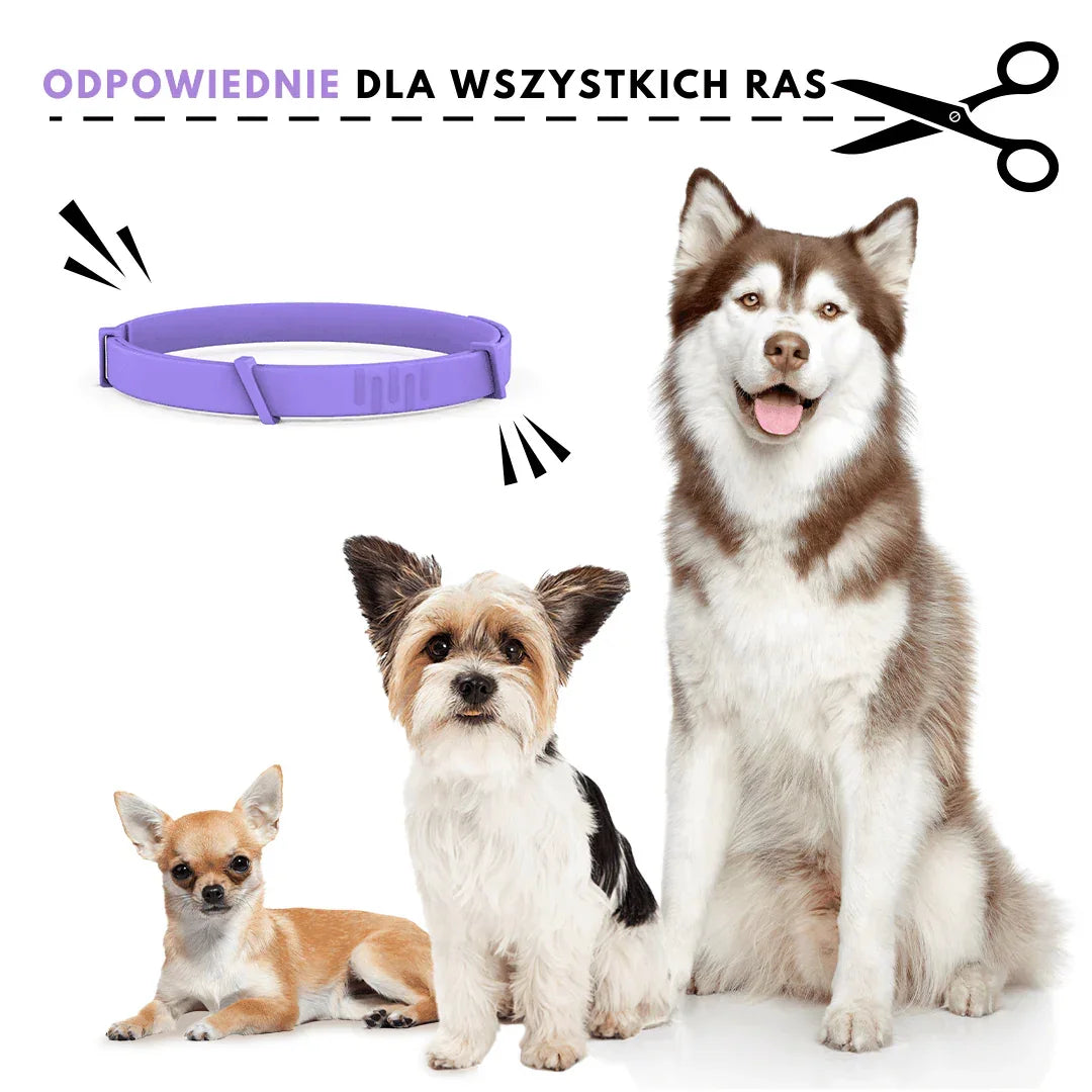 Furlok™ | Obroża uspokajająca z feromonami dla psów