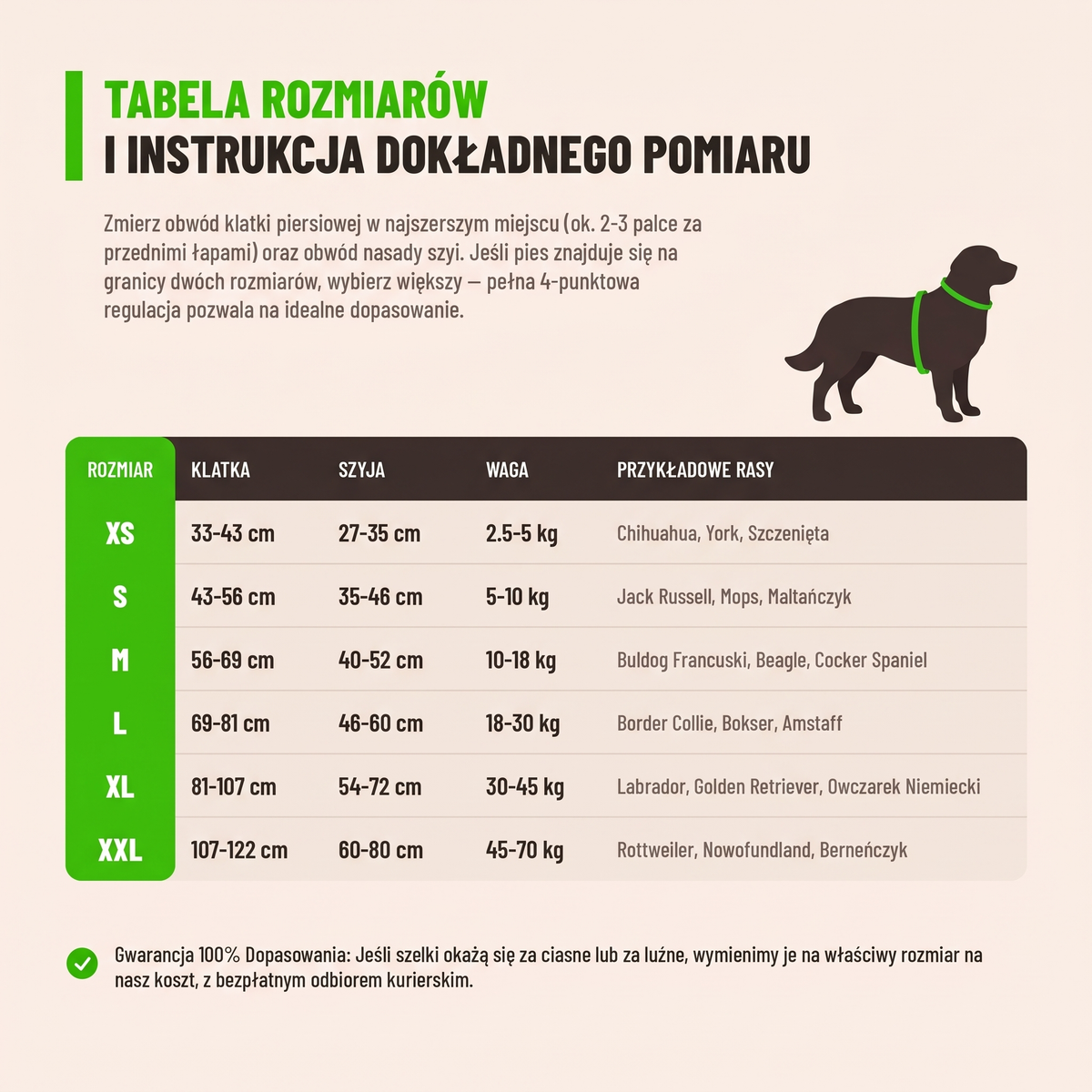 Tabela rozmiarów XS–XXL i instrukcja pomiaru obwodu klatki piersiowej i szyi — gwarancja 100% dopasowania
