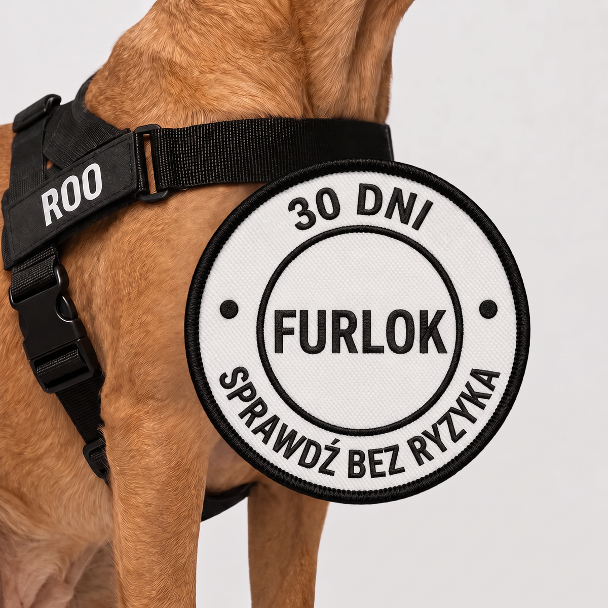 Brązowy pies w czarnych szelkach z naszywką ROO i odznaką Furlok: 30 dni, sprawdź bez ryzyka.