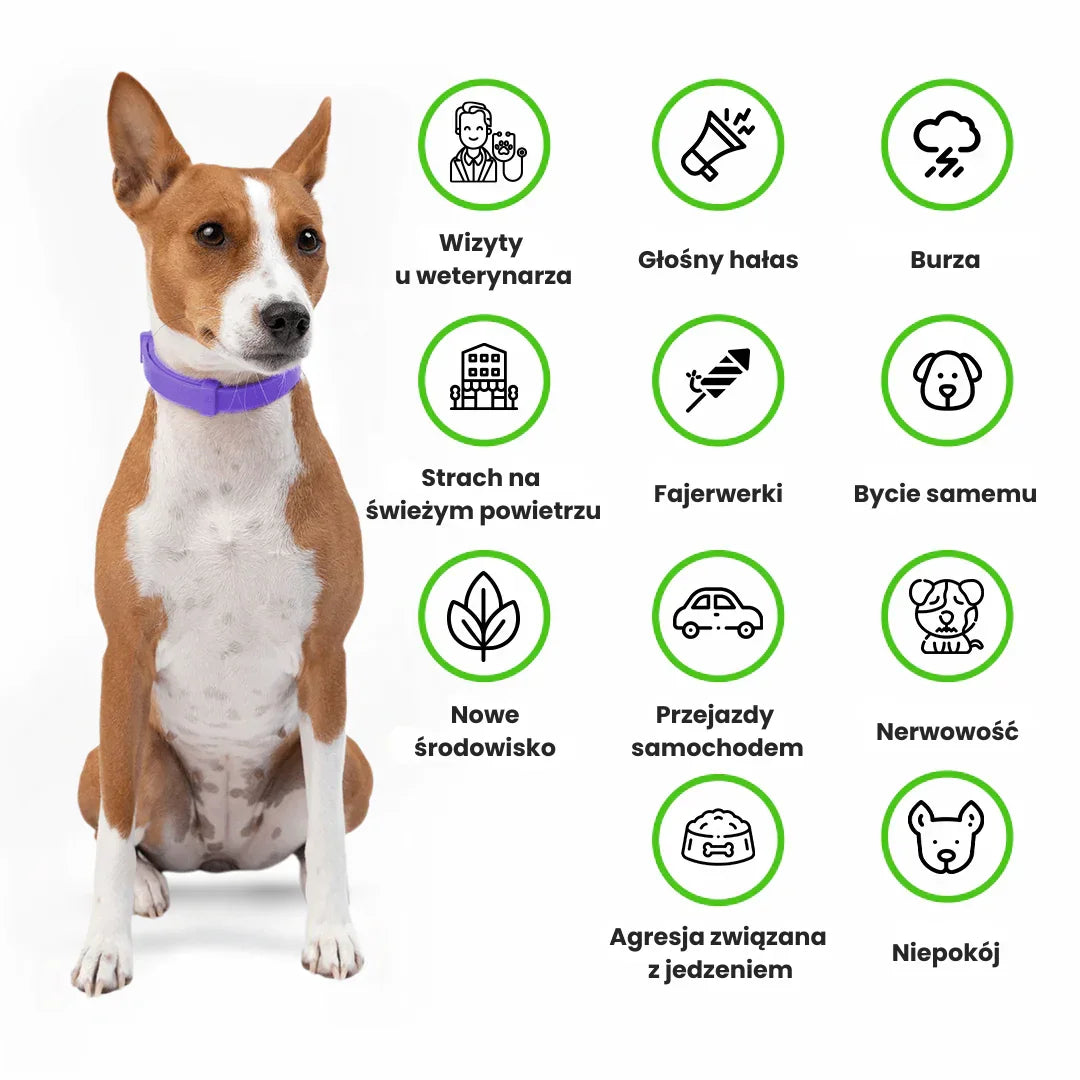 Furlok™ | Obroża uspokajająca z feromonami dla psów