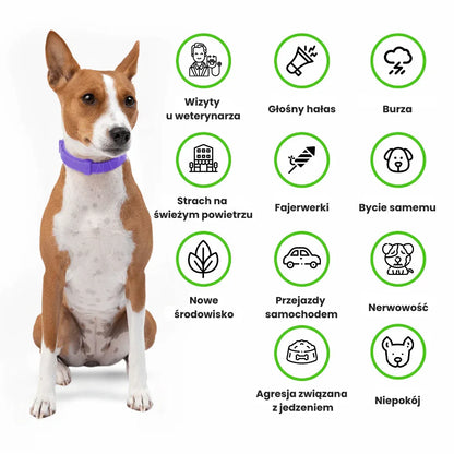 Furlok™ | Obroża uspokajająca z feromonami dla psów