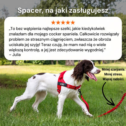 Biało-brązowy pies Loki w czerwonych szelkach na trawie; nad zdjęciem opinia właścicielki o spacerach bez ciągnięcia.
