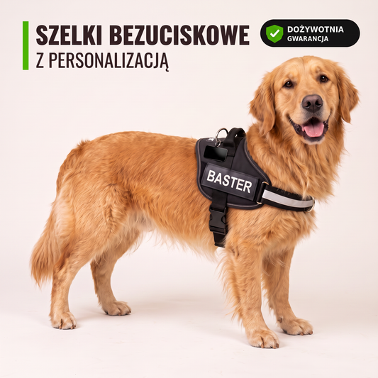 Furlok™ Szelki Bezuciskowe z Personalizacją — golden retriever w czarnych szelkach Furlok z naszywką BASTER