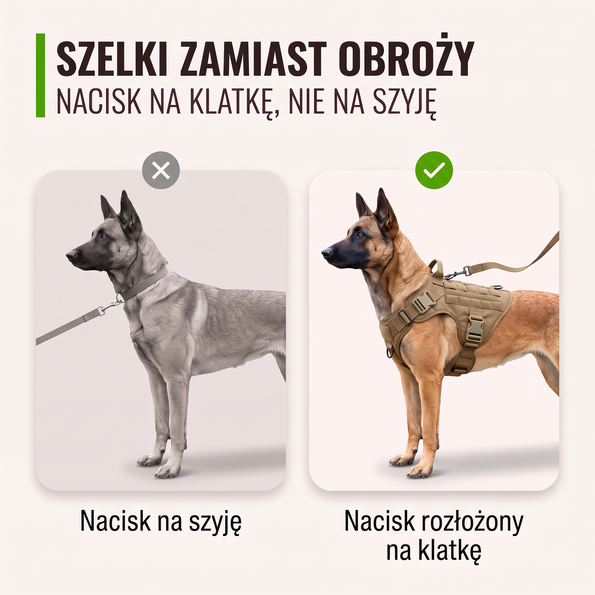 Szelki Furlok™ K9 zamiast obroży: nacisk na klatkę, nie na szyję.
